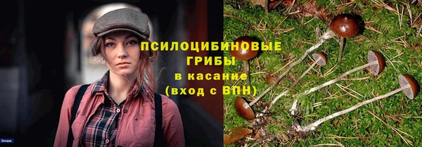МДПВ Верхний Тагил