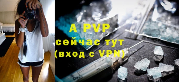 стаф Володарск