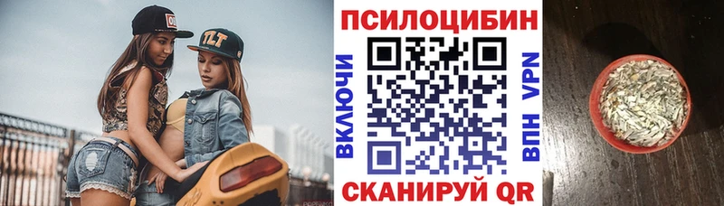 Псилоцибиновые грибы Magic Shrooms  Нерчинск 